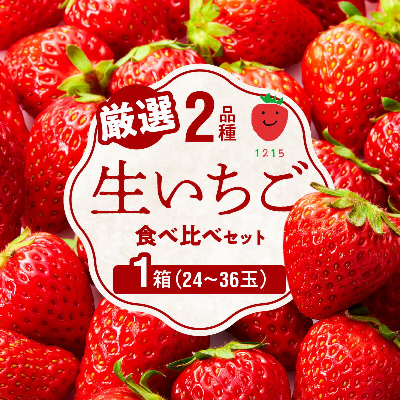 2026年1月から発送開始 いちご 生いちご 厳選 2品種 食べ比べ セット 果物 いちにのいちご園 1箱 フルーツ お取り寄せ お取り寄せフルーツ 手土産 プレゼント 送料無料 食品 宮崎県 延岡市