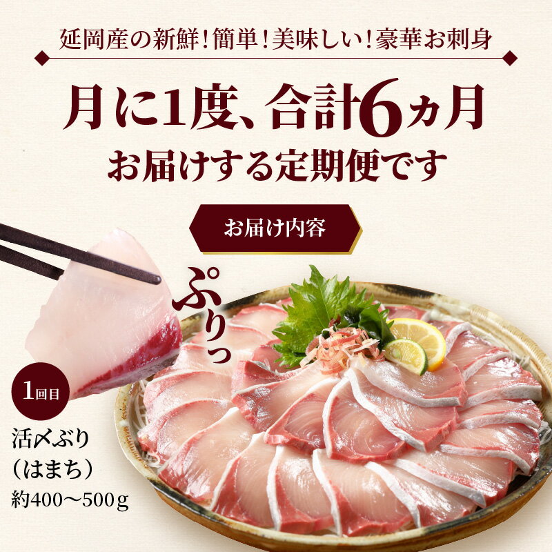 【ふるさと納税】【着日指定】 高評価★4.76 活〆 お刺身 定期便 6回 豪華 鮮魚 延岡産 刺身 ヒラメ 真鯛 カンパチ 季節 魚 ブリ ハマチ 国産 昆布〆 新鮮 脂のり 甘み おつまみ 晩酌 カルパッチョ 魚介類 食品 冷蔵 請関水産 グルメ お取り寄せ 宮崎県 延岡市 送料無料 サムネイル3