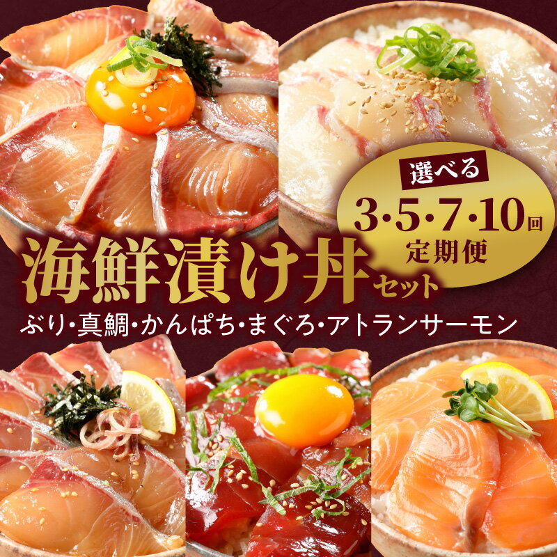 リピーター続出 海鮮漬け丼 セット 定期便 選べる 回数 3 ~ 10回 鮮度抜群 ぶり 真鯛 かんぱち まぐろ サーモン 漬け丼 タレ 漬け 海鮮丼 バラエティ 簡単 便利 小分け 個包装 刻み海苔 流水解凍 5分 日向灘 九州 宮崎県 延岡市 冷凍 お取り寄せ 送料無料