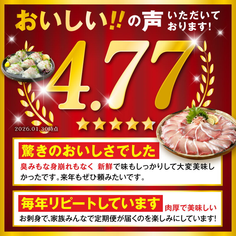 【ふるさと納税】【着日指定】 高評価★4.76 活〆 お刺身 定期便 6回 豪華 鮮魚 延岡産 刺身 ヒラメ 真鯛 カンパチ 季節 魚 ブリ ハマチ 国産 昆布〆 新鮮 脂のり 甘み おつまみ 晩酌 カルパッチョ 魚介類 お造り 冷蔵 請関水産 グルメ お取り寄せ 宮崎県 延岡市 送料無料 - 画像3