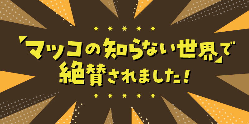 【ふるさと納税】受賞歴多数 マツコの知らない世界 クラフトビール TVで紹介(7/18放送) 選べる 発送時期 宮崎 ひでじ ビール 8本 セット 瓶 330ml 4種 各 2本 箱入り のし対応 太陽のラガー 森閑のペールエール 九州CRAFT日向夏Premium 栗黒 宮崎県 延岡市 送料無料 サムネイル2