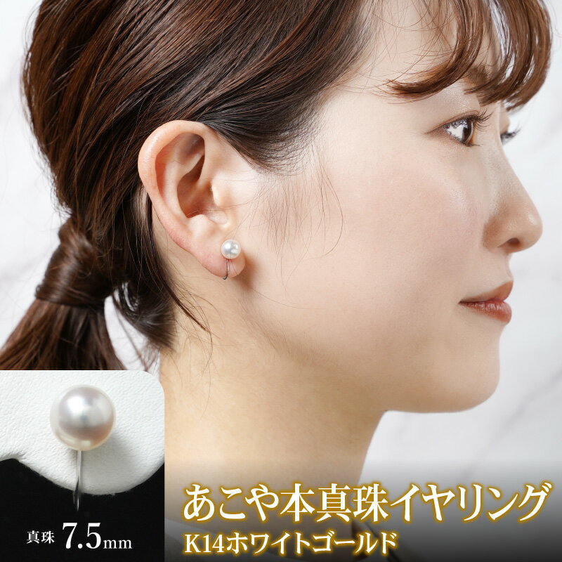 【ふるさと納税】あこや本真珠 イヤリング 真珠 7.5mm 14Kホワイトゴールド サムネイル2