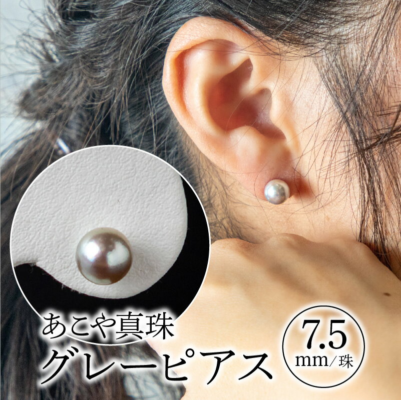 【ふるさと納税】真珠 あこや本真珠 グレーパール ピアス 7.5mm 1珠 一粒パール 14金 ホワイトゴールド シリコンキャッチ ファッション 普段使い 冠婚葬祭 上品 ジュエリー アクセサリー 延岡市 送料無料 サムネイル2
