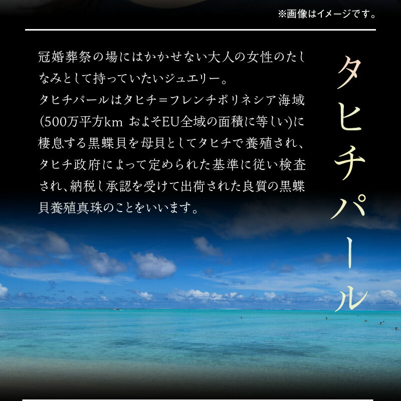 【ふるさと納税】タヒチ黒真珠 ピアス 真珠 11mm 14Kホワイトゴールド サムネイル3