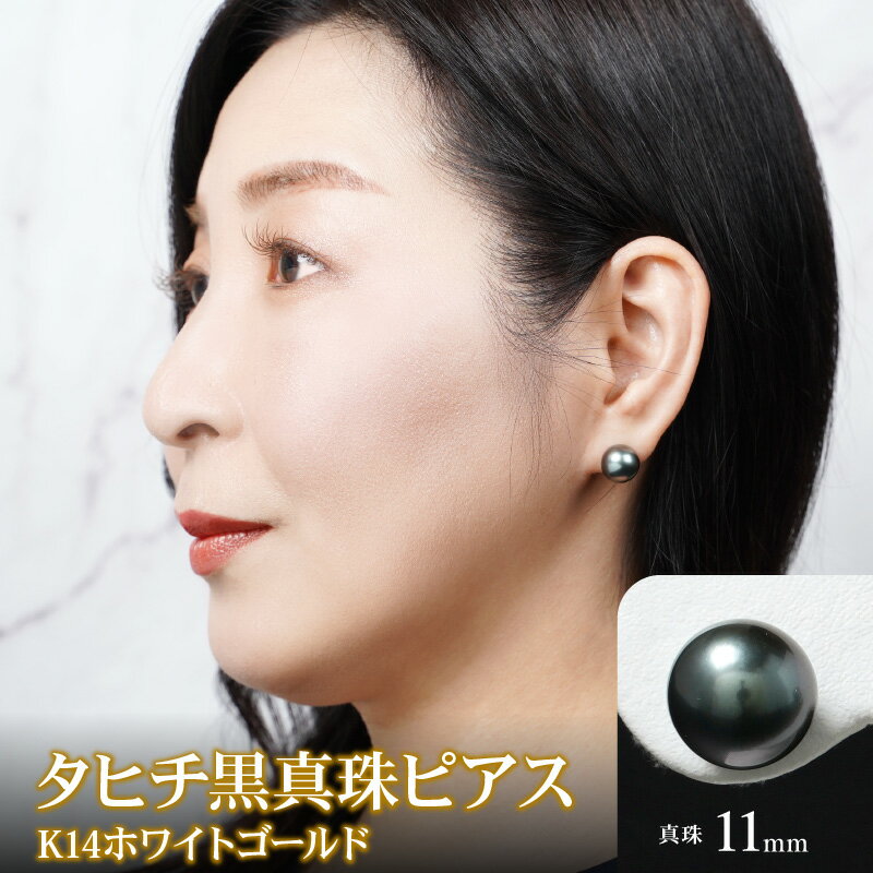 【ふるさと納税】タヒチ黒真珠 ピアス 真珠 11mm 14Kホワイトゴールド サムネイル2