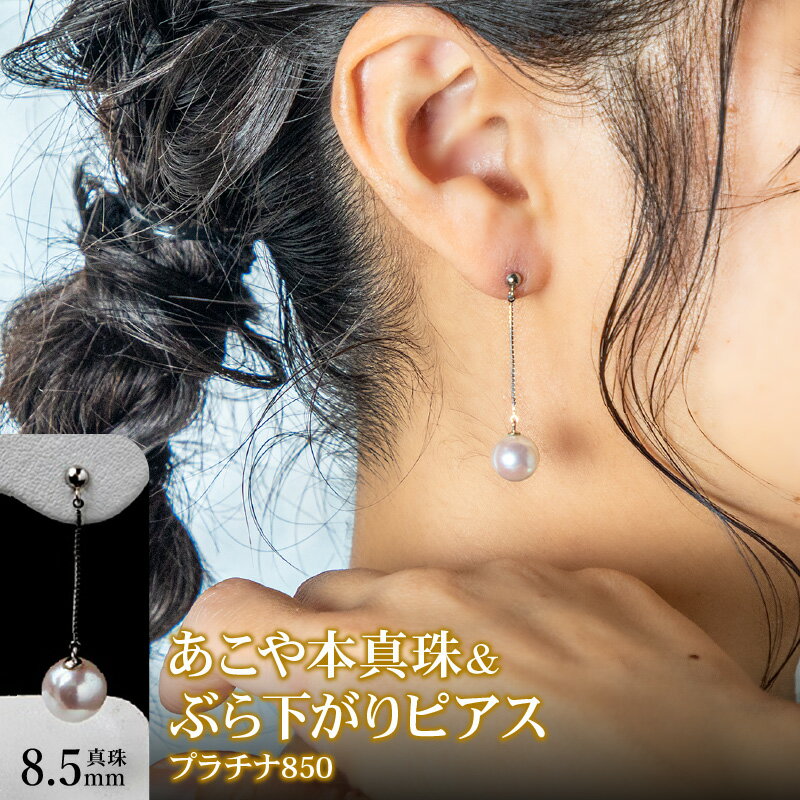 【ふるさと納税】あこや本真珠 ぶら下がりピアス 真珠 8.5mm プラチナ 850 チェーン 2cm サムネイル2