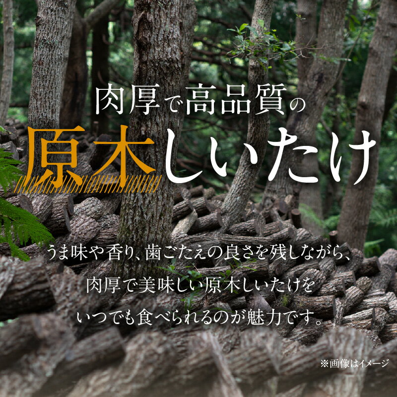 【ふるさと納税】冷凍しいたけ「ねむり姫」1kg - 画像3
