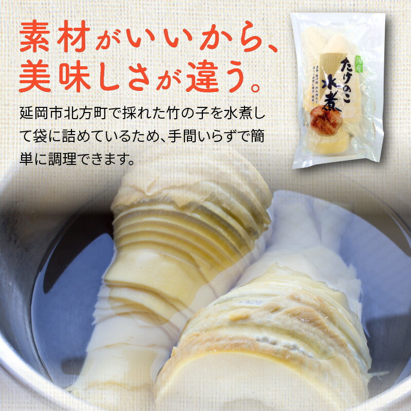 【ふるさと納税】国産 たけのこ 水煮 200g × 5袋 / 10袋 合計 1kg / 2kg 小分け パック 簡単調理 常温 グルメ 食品 食べ物 野菜 山の幸 山菜 株式会社大久保商店 宮崎県 延岡市 お取り寄せ 送料無料 サムネイル2