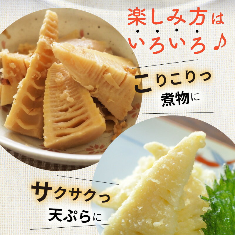 【ふるさと納税】国産 たけのこ 水煮 200g × 5袋 / 10袋 合計 1kg / 2kg 小分け パック 簡単調理 常温 グルメ 食品 食べ物 野菜 山の幸 山菜 株式会社大久保商店 宮崎県 延岡市 お取り寄せ 送料無料 サムネイル3