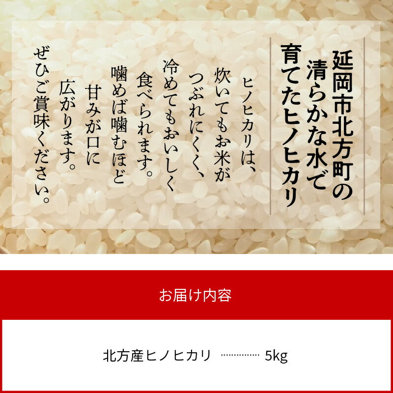 【ふるさと納税】新米 令和7年産米 お米 白米 ヒノヒカリ 5kg 精米 甘み 冷めてもおいしい おにぎり ご飯 弁当 お取り寄せ お取り寄せグルメ 中アミロース米 産地直送 宮崎県 延岡市 北方町 送料無料 - 画像3