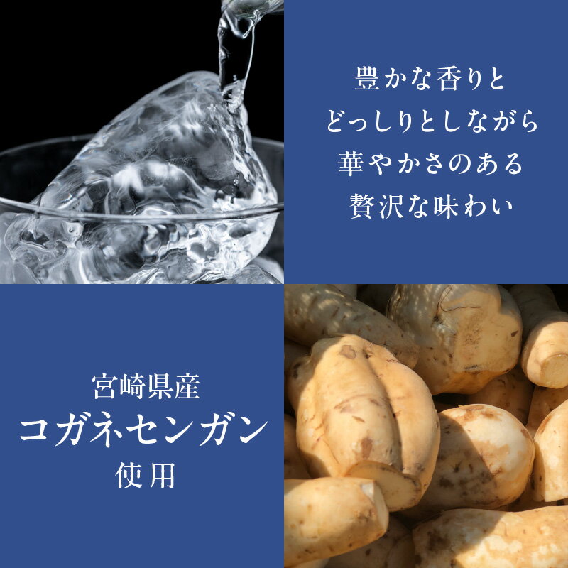 【ふるさと納税】芋 焼酎 亮天 白麹 原酒 38度 720ml 本格 芋焼酎 本格芋焼酎 白麹原酒 米麹 かんしょ コガネセンガン 贅沢 化粧箱 木箱 包装 ギフト 贈答用 贈り物 佐藤焼酎 宮崎県 延岡市 送料無料 サムネイル3