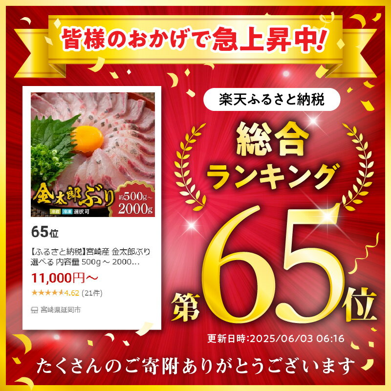 【ふるさと納税】宮崎産 金太郎 ぶり 選べる 内容量 500g 〜 2kg 配送方法 冷蔵 冷凍 新海屋 鰤屋金太郎 スキンレスロイン 皮引き済み 深い 味わい ぷりぷり 国産 真空パック 鰤 刺身 魚 照り焼き ぶり大根 ぶりしゃぶ 海鮮丼 鮮魚 食品 宮崎県 延岡市 お取り寄せ 送料無料 サムネイル2