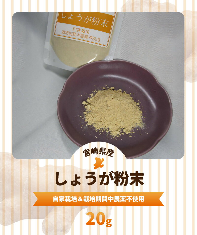 【ふるさと納税】宮崎県産 しょうが粉末 20g 自家栽培 栽培期間中農薬不使用 体を温める効果 免疫力 普段の料理にかかせない しょうが焼き 魚料理 ぎょうざ 紅茶 料理 便利 しょうが 粉末 国産 宮崎県 延岡市 お取り寄せ 送料無料 サムネイル2