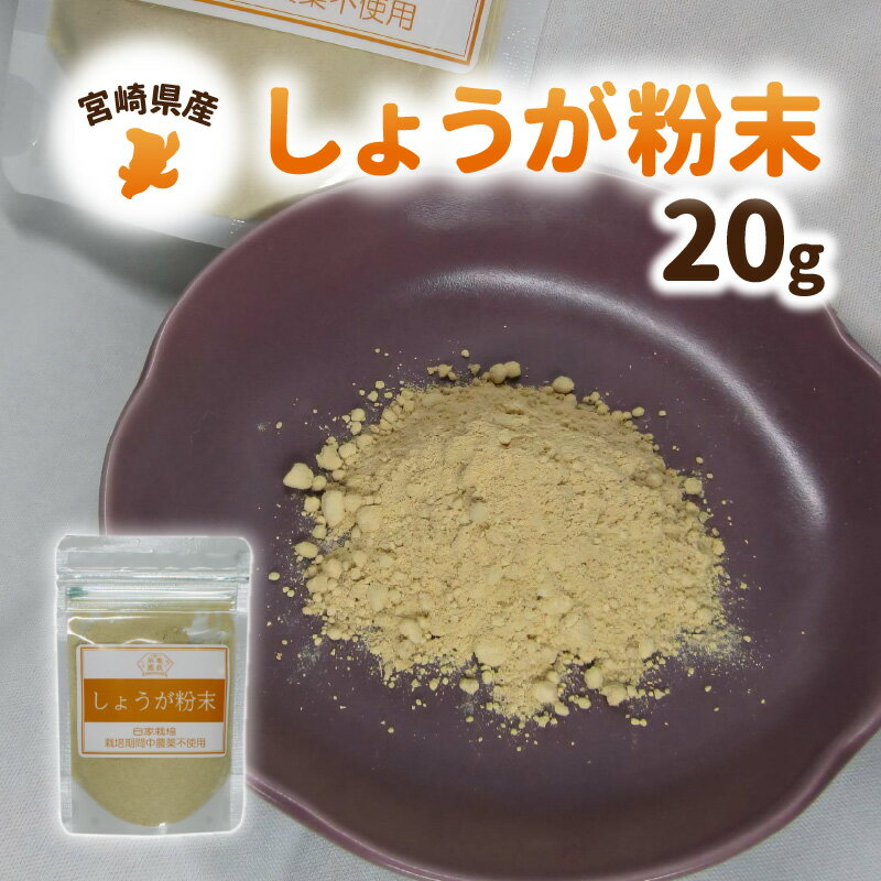 宮崎県産 しょうが粉末 20g 自家栽培 栽培期間中農薬不使用 体を温める効果 免疫力 普段の料理にかかせない しょうが焼き 魚料理 ぎょうざ 紅茶 料理 便利 しょうが 粉末 国産 宮崎県 延岡市 お取り寄せ 送料無料