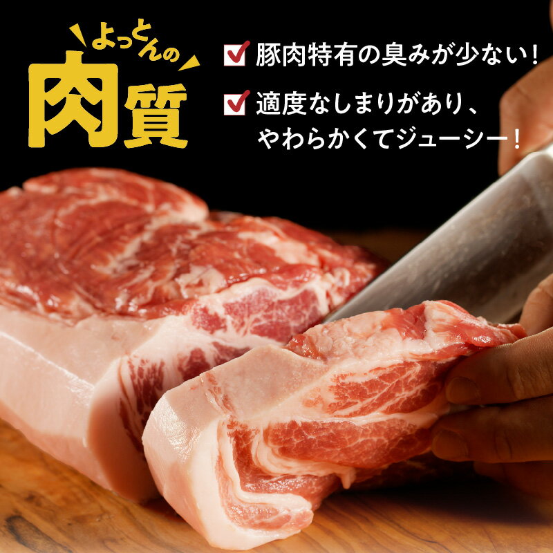 【ふるさと納税】令和の虎 完全ALL達成 延岡よっとん 豚肉 肩ロース ブロック 約 1kg EM豚 豚 肉 国産 宮崎県 冷蔵 ギフト EM菌 善玉菌 健康的 やわらかい 脂の甘い ジューシー おかず 使い方いろいろ とんかつ ローストポーク 延岡市 お取り寄せ お取り寄せグルメ 送料無料 サムネイル3