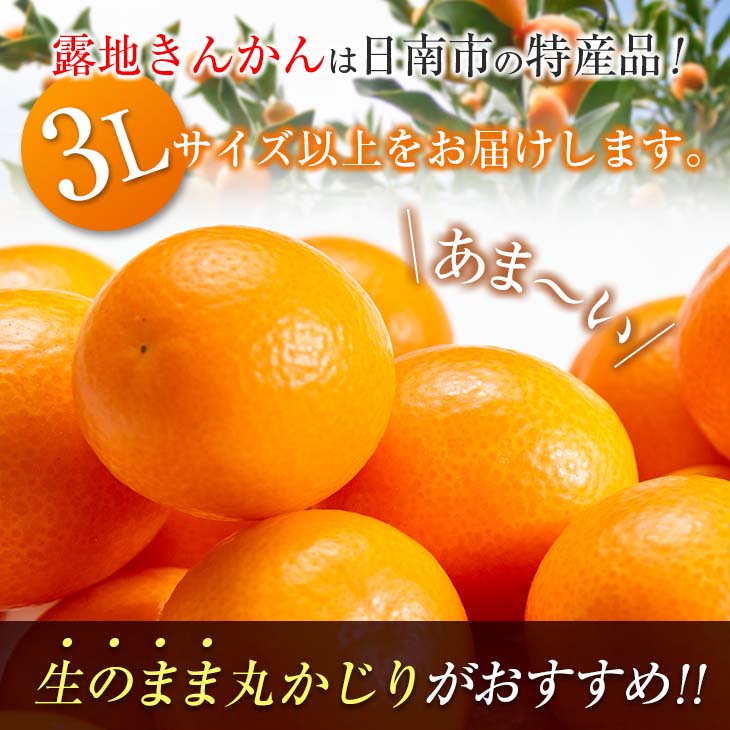 【ふるさと納税】食べ応え抜群 大玉 きんかん 計2kg以上 傷み補償分付き 数量限定 期間限定 フルーツ 果物 くだもの 柑橘 金柑 先行予約 国産 希少 人気 おすすめ ジャム おやつ デザート 小分け おすそ分け 贈り物 ギフト 贈答 ご褒美 産地直送 宮崎県 日南市 送料無料 サムネイル2