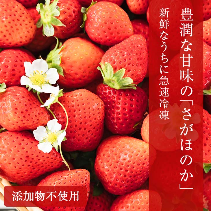 【ふるさと納税】グランプリ受賞 数量限定 冷凍いちご シロップ付 計1kg+170g 【クラッシュタイプ】 果物 くだもの フルーツ 苺 国産 自家製 スムージー イチゴジャム おやつ デザート 詰め合わせ 小分け 産地直送 おすそ分け 贈り物 ギフト 宮崎県 日南市 送料無料 サムネイル2