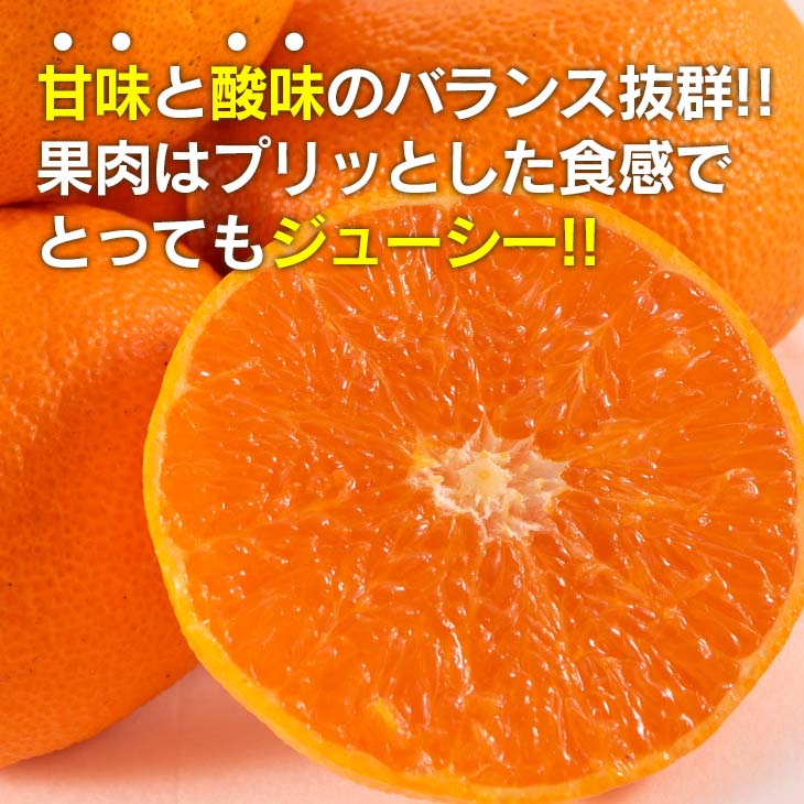 【ふるさと納税】訳あり 津之輝 計3kg以上 先行予約 令和8年発送 期間限定 数量限定 国産 食品 果物 くだもの フルーツ 柑橘 みかん 不揃い S M L 混合 傷 わけあり デザート おやつ ジュース 家庭用 おすそ分け おすすめ つのかがやき 濃厚 常温 宮崎県 日南市 送料無料 サムネイル2