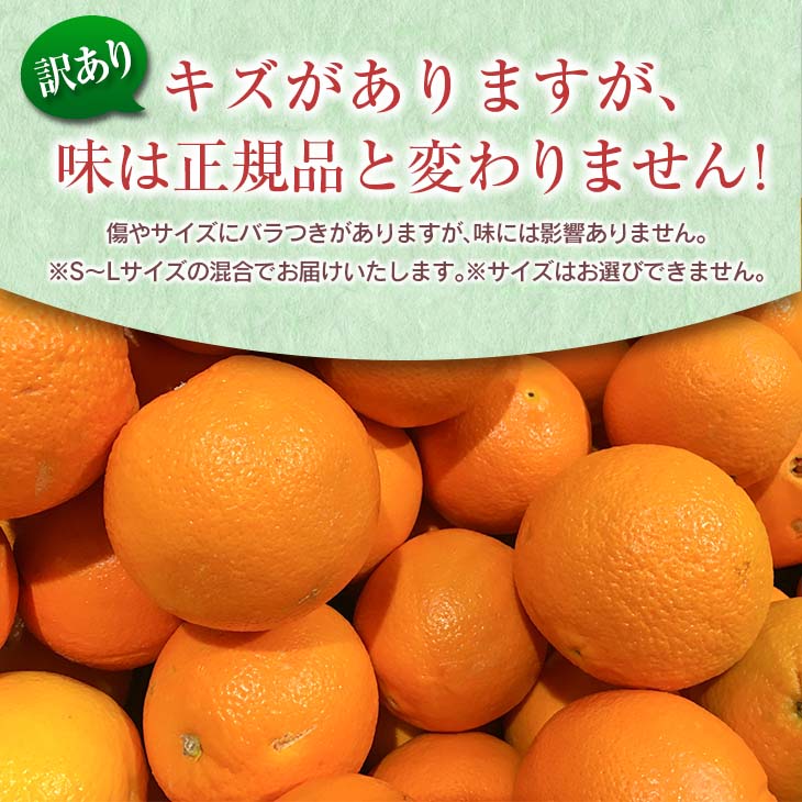 【ふるさと納税】訳あり 津之輝 計3kg以上 先行予約 令和8年発送 期間限定 数量限定 国産 食品 果物 くだもの フルーツ 柑橘 みかん 不揃い S M L 混合 傷 わけあり デザート おやつ ジュース 家庭用 おすそ分け おすすめ つのかがやき 濃厚 常温 宮崎県 日南市 送料無料 サムネイル3