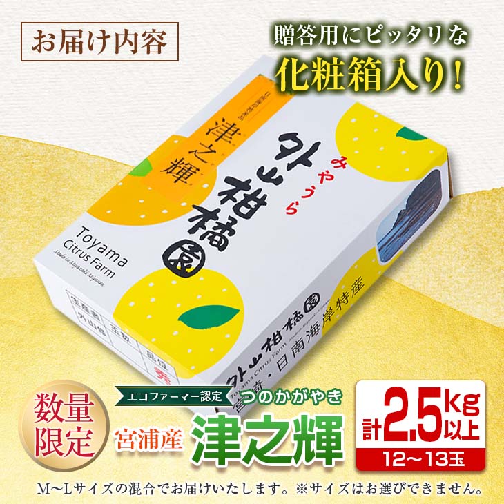 【ふるさと納税】津之輝 計2.5kg以上 化粧箱入り 先行予約 令和8年発送 期間限定 数量限定 国産 食品 果物 くだもの フルーツ 柑橘 みかん 蜜柑 M L 混合 デザート おやつ ジュース おすすめ プレゼント ギフト 贈答 贈り物 つのかがやき 濃厚 常温 宮崎県 日南市 送料無料 サムネイル3