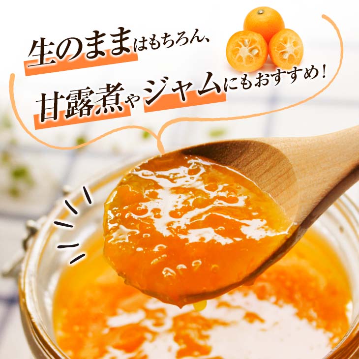 【ふるさと納税】ひなたきんかん 計3kg以上 傷み補償分付き 数量限定 期間限定 フルーツ 果物 柑橘 金柑 みかん 人気 おすすめ おすそ分け お土産 プレゼント お取り寄せ グルメ 国産 食品 デザート スイーツ おやつ ブランド 特産品 産地直送 宮崎県 日南市 送料無料 サムネイル2