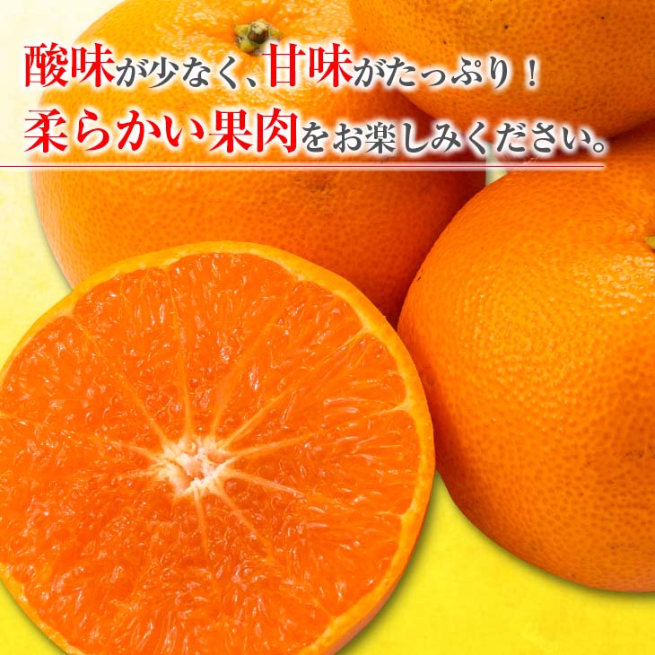 【ふるさと納税】≪内容量が選べる≫ 年内お届け 先行予約 訳あり 西南のひかり 希少 期間限定 数量限定 みかん オレンジ フルーツ 果物 くだもの 柑橘 国産 食品 デザート おやつ みかんジュース おすそ分け 家庭用 自宅用 おすすめ 5kg 10kg 宮崎県 日南市 送料無料 サムネイル3