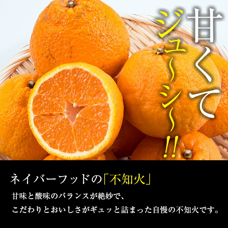 【ふるさと納税】先行予約 訳あり 不知火 計4kg以上 傷み補償分付き 期間限定 数量限定 フルーツ 果物 くだもの 柑橘 みかん しらぬい 令和8年発送 おやつ デザート ジュース 国産 食品 おすすめ ご褒美 産地直送 おすそわけ 家庭用 ネイバーフッド 宮崎県 日南市 送料無料 サムネイル3