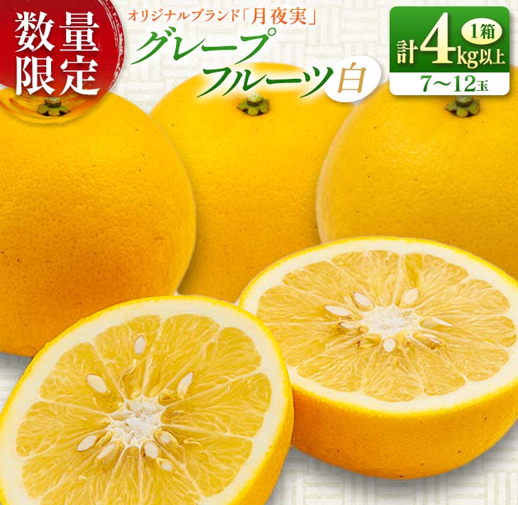 テレビで紹介された 数量限定 グレープフルーツ 月夜実 白 つくよみ 計4kg以上 期間限定 希少 完熟 果物 くだもの 柑橘 オリジナル ブランド 国産 食品 人気 おすすめ デザート スイーツ おやつ お取り寄せ グルメ 産地直送 宮崎県 日南市 送料無料