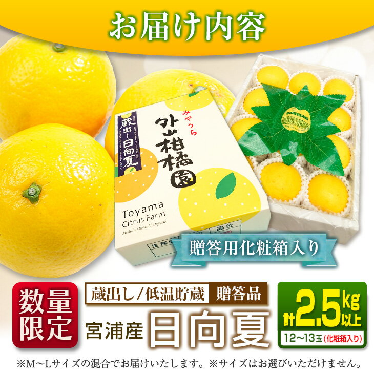 【ふるさと納税】先行予約 宮浦産 蔵出し 日向夏 計2.5kg以上 化粧箱入り 期間限定 数量限定 フルーツ 果物 くだもの 柑橘 みかん 令和8年発送 国産 産地直送 新鮮 食品 ジュース デザート おやつ ギフト 贈り物 贈答 お返し お礼 手土産 おすそ分け 宮崎県 日南市 送料無料 サムネイル3
