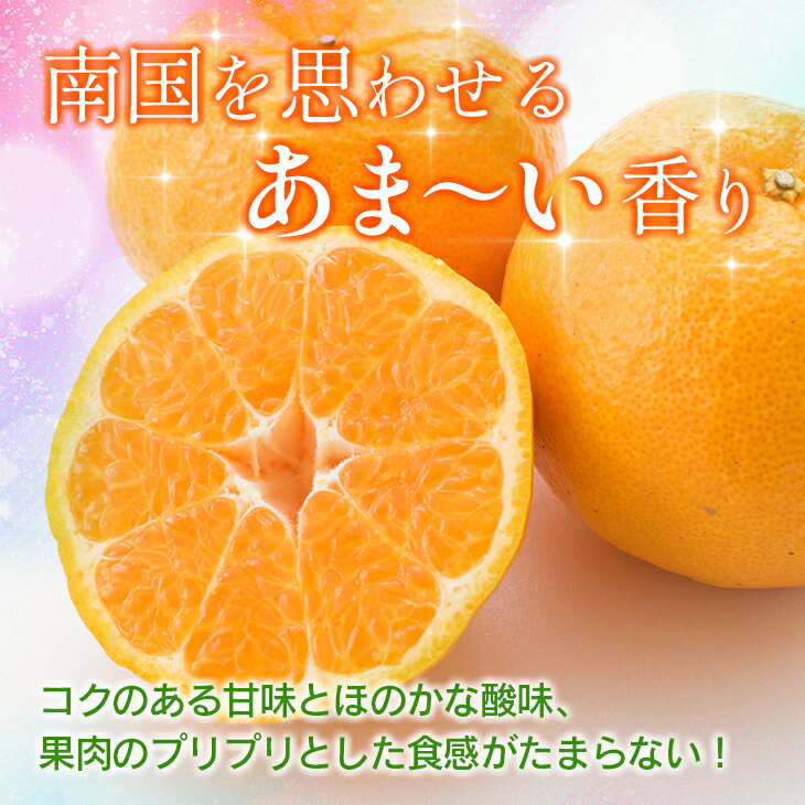 【ふるさと納税】訳あり 平部さんちのポンカン 計7kg以上 先行予約 期間限定 数量限定 フルーツ 果物 くだもの 柑橘 みかん 蜜柑 わけあり 国産 食品 おやつ デザート みかんジュース フルーツサンド おすすめ ご家庭用 おすそ分け 産地直送 宮崎県 日南市 送料無料 サムネイル3