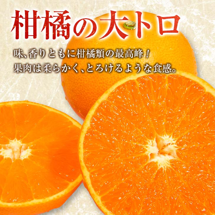 【ふるさと納税】≪内容量が選べる≫ 柑橘の大トロ せとか 先行予約 希少 期間限定 数量限定 フルーツ 果物 くだもの 柑橘 みかん オレンジ 令和8年発送 みかんジュース フルーツサンド 国産 食品 人気 おすすめ デザート おやつ ギフト 贈り物 贈答 宮崎県 日南市 送料無料 サムネイル2