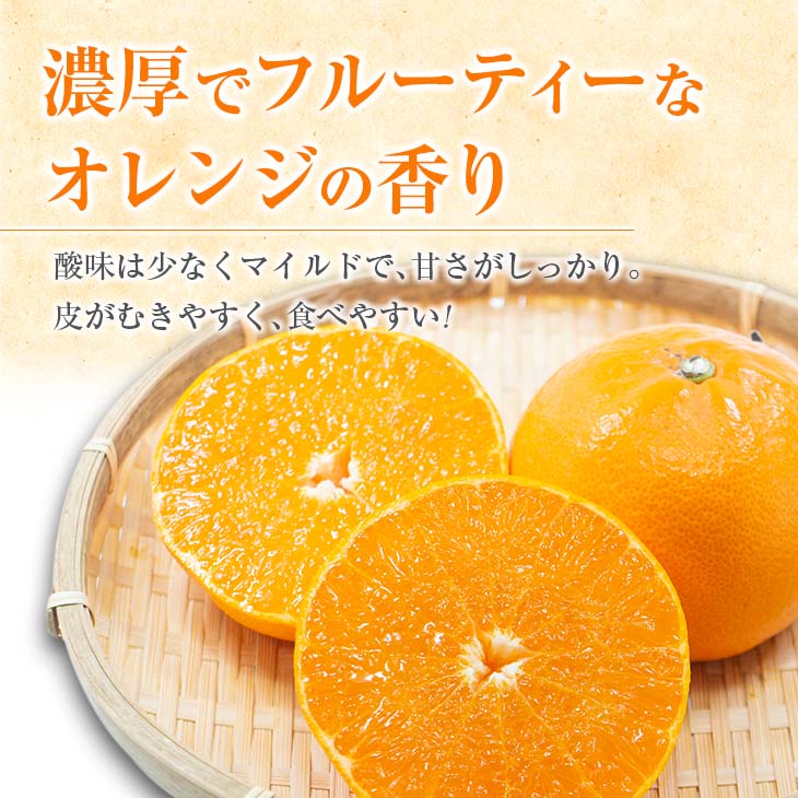 【ふるさと納税】≪内容量が選べる≫ 柑橘の大トロ せとか 先行予約 希少 期間限定 数量限定 フルーツ 果物 くだもの 柑橘 みかん オレンジ 令和8年発送 みかんジュース フルーツサンド 国産 食品 人気 おすすめ デザート おやつ ギフト 贈り物 贈答 宮崎県 日南市 送料無料 サムネイル3