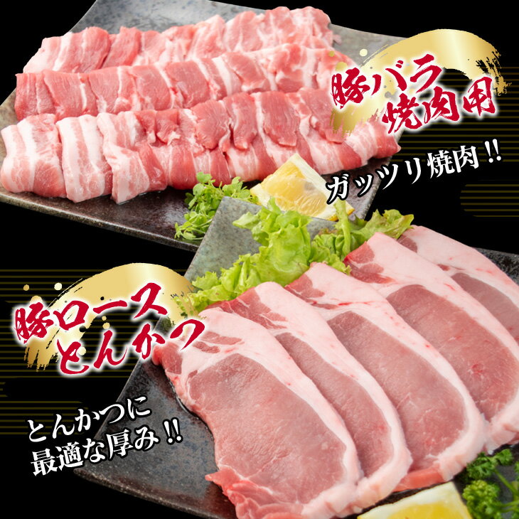 【ふるさと納税】★高評価★ 豚肉 鶏肉 食べ比べ セット 合計5kg 小分け 豚ロース 豚バラ 鶏モモ 国産 しゃぶしゃぶ 焼肉 BBQ とんかつ 切り落とし からあげ 豚丼 冷しゃぶ 人気 おすすめ 簡単調理 おすそ分け 詰め合わせ おかず お弁当 記念日 宮崎県 日南市 送料無料 サムネイル3