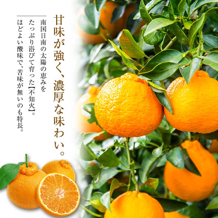 【ふるさと納税】≪内容量が選べる≫ 先行予約 不知火 黒箱 化粧箱入り 期間限定 数量限定 果物 フルーツ くだもの 柑橘 みかん 令和8年発送 みかんジュース デザート おやつ 人気 おすすめ 国産 食品 ギフト 贈り物 贈答 ご褒美 お祝い 記念日 宮崎県 日南市 送料無料 サムネイル3