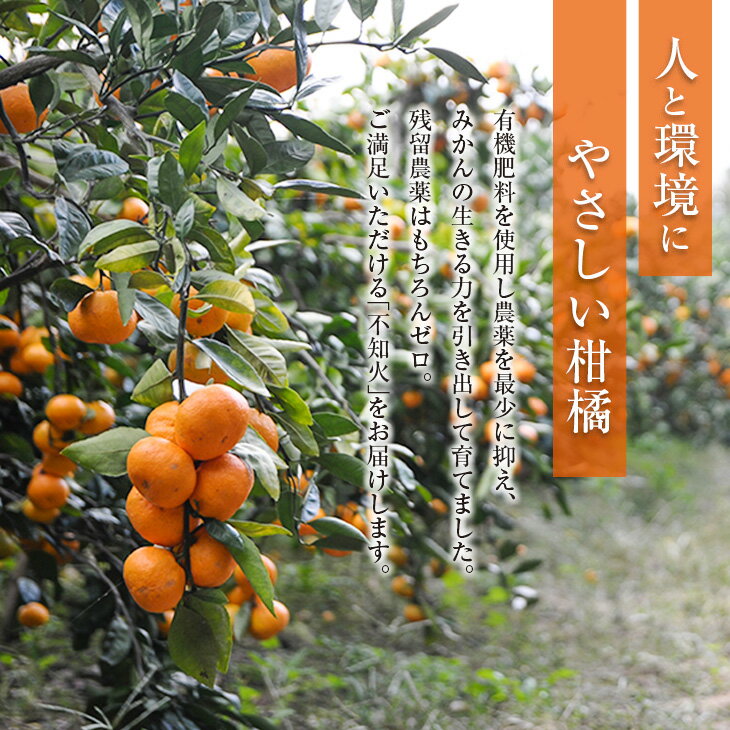 【ふるさと納税】先行予約 不知火 計4kg以上 傷み補償分付き 期間限定 数量限定 フルーツ 果物 くだもの 柑橘 みかん しらぬい 令和8年発送 おやつ デザート ジュース 国産 食品 おすすめ ご褒美 産地直送 プレゼント ギフト 贈り物 ネイバーフッド 宮崎県 日南市 送料無料 サムネイル2