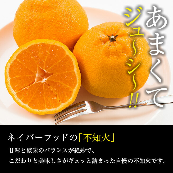 【ふるさと納税】先行予約 不知火 計4kg以上 傷み補償分付き 期間限定 数量限定 フルーツ 果物 くだもの 柑橘 みかん しらぬい 令和8年発送 おやつ デザート ジュース 国産 食品 おすすめ ご褒美 産地直送 プレゼント ギフト 贈り物 ネイバーフッド 宮崎県 日南市 送料無料 サムネイル3