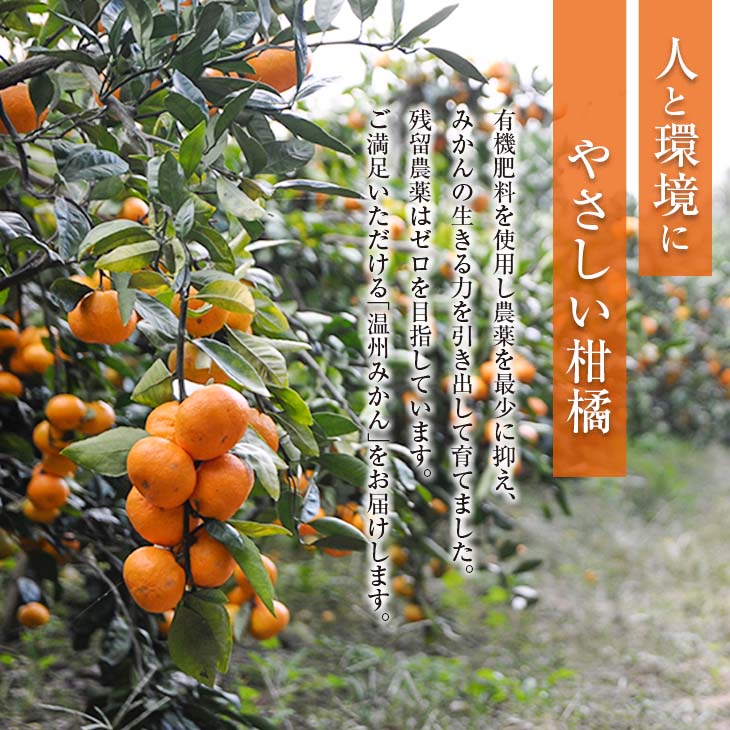 【ふるさと納税】≪内容量が選べる≫ 訳あり 数量限定 ネイバーフッド 温州みかん 5kg 8kg 傷み補償分付き 期間限定 フルーツ 果物 くだもの ミカン 柑橘 オレンジ 人気 国産 食品 デザート おやつ おすすめ 産地直送 ご家庭用 おすそ分け 特産品 宮崎県 日南市 送料無料 サムネイル2