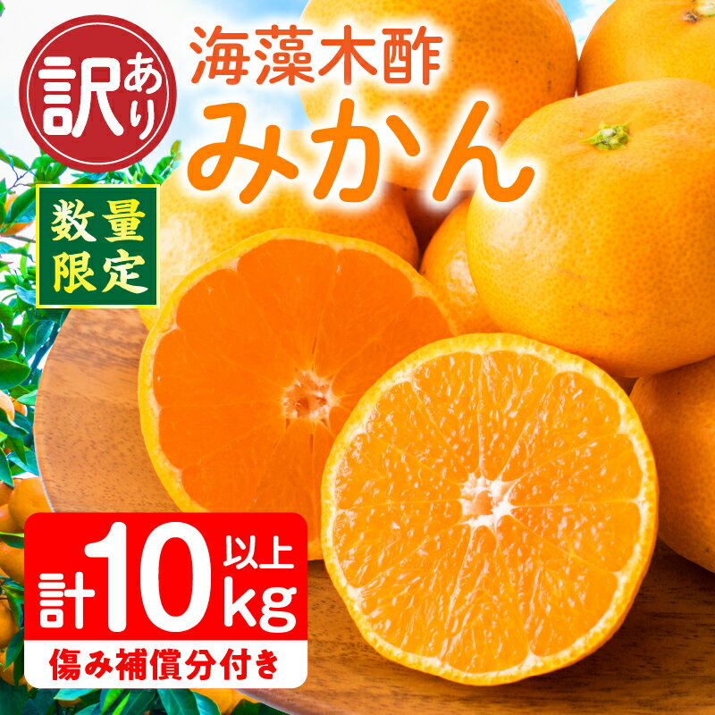 訳あり 数量限定 海藻木酢みかん 計10kg以上 傷み補償分付き フルーツ 果物 くだもの 柑橘 みかん 国産 期間限定 食品 家庭用 自宅用 B品 わけあり オレンジ みかんジュース デザート おやつ おすすめ おすそ分け ご褒美 産地直送 宮崎県 日南市 送料無料