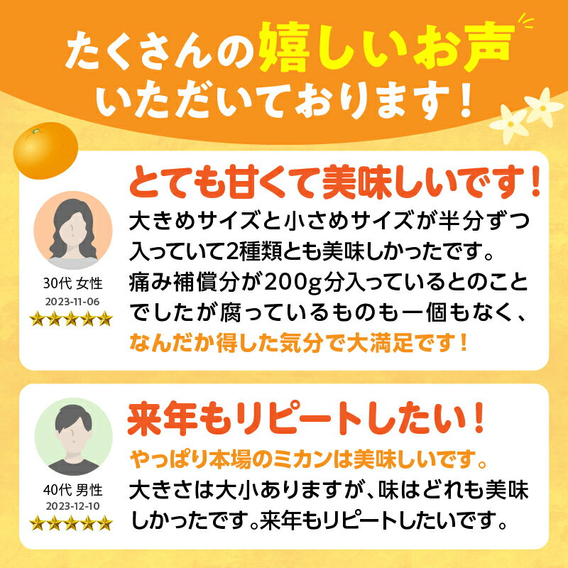 【ふるさと納税】訳あり 数量限定 海藻木酢みかん 計10kg以上 傷み補償分付き フルーツ 果物 くだもの 柑橘 みかん 国産 期間限定 食品 家庭用 自宅用 B品 わけあり オレンジ みかんジュース デザート おやつ おすすめ おすそ分け ご褒美 産地直送 宮崎県 日南市 送料無料 サムネイル2