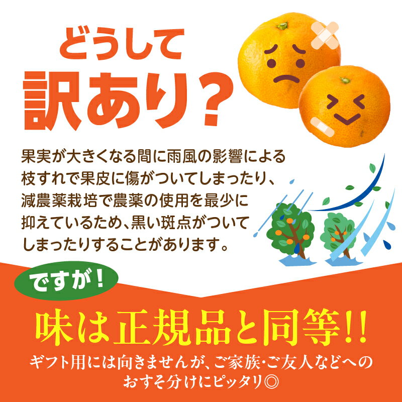 【ふるさと納税】訳あり 数量限定 海藻木酢みかん 計5kg以上 傷み補償分付き フルーツ 果物 くだもの 柑橘 みかん 国産 期間限定 食品 家庭用 自宅用 B品 わけあり オレンジ デザート おやつ おすすめ おすそ分け ご褒美 お取り寄せ グルメ 産地直送 宮崎県 日南市 送料無料 サムネイル2
