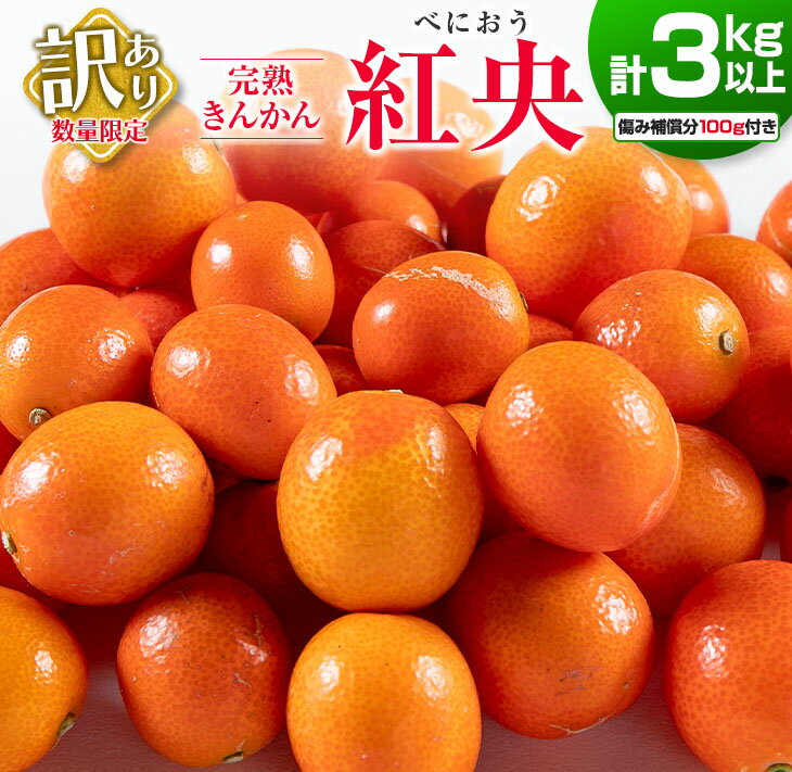 先行予約 訳あり 完熟 きんかん 紅央 計3kg以上 傷み補償分付き 数量限定 期間限定 訳アリ フルーツ 果物 くだもの 柑橘 金柑 おすすめ おすそ分け 国産 食品 デザート ブランド 希少 ご家庭用 ご自宅用 お取り寄せ 特産品 産地直送 宮崎県 日南市 送料無料