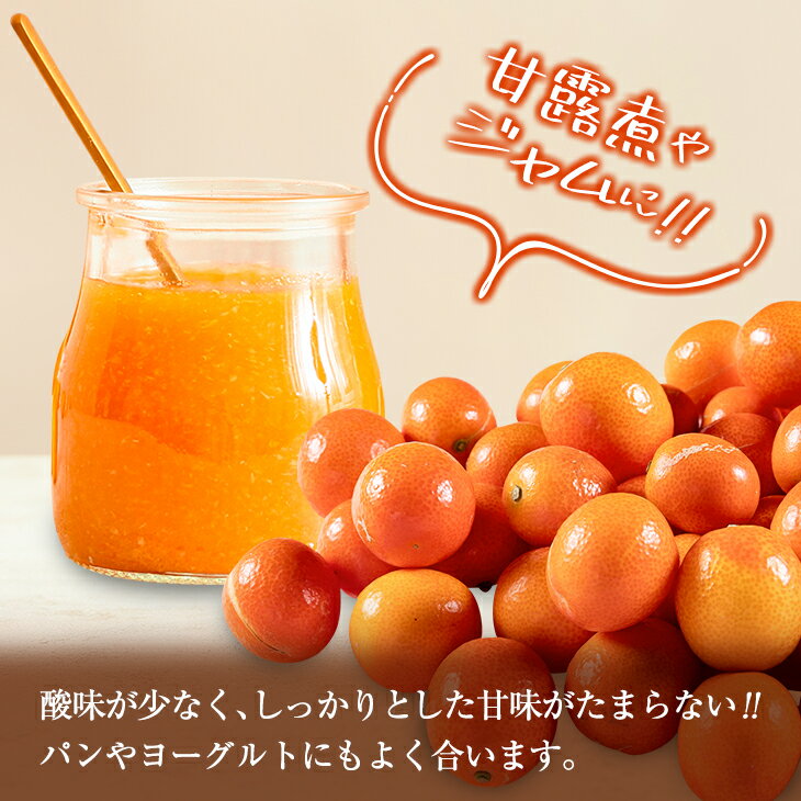 【ふるさと納税】先行予約 訳あり 完熟 きんかん 紅央 計3kg以上 傷み補償分付き 数量限定 期間限定 訳アリ フルーツ 果物 くだもの 柑橘 金柑 おすすめ おすそ分け 国産 食品 デザート ブランド 希少 ご家庭用 ご自宅用 お取り寄せ 特産品 産地直送 宮崎県 日南市 送料無料 サムネイル3