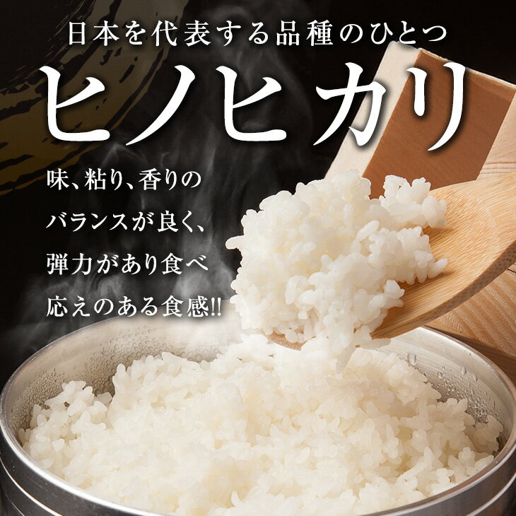 【ふるさと納税】令和7年産 ヒノヒカリ 計3kg お米 ご飯 ライス 国産 数量限定 人気 食品 精米 白米 ひのひかり 有洗米 おにぎり お弁当 炊き込みご飯 雑炊 ギフト プレゼント 贈り物 お取り寄せ 産地直送 宮崎県 日南市 送料無料 - 画像2