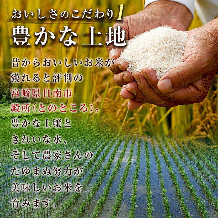 【ふるさと納税】令和7年産 ヒノヒカリ 計3kg お米 ご飯 ライス 国産 数量限定 人気 食品 精米 白米 ひのひかり 有洗米 おにぎり お弁当 炊き込みご飯 雑炊 ギフト プレゼント 贈り物 お取り寄せ 産地直送 宮崎県 日南市 送料無料 - 画像3