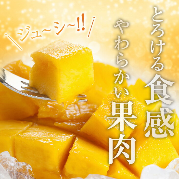 【ふるさと納税】≪内容量が選べる≫ 訳あり 宮崎県産 完熟マンゴー 令和8年発送分 期間限定 数量限定 2026年 フルーツ 果物 くだもの 国産 食品 デザート おやつ フルーツサンド おすすめ ご褒美 産地直送 傷 規格外 訳アリ おすそ分け 家庭用 冷蔵 宮崎県 日南市 送料無料 サムネイル2