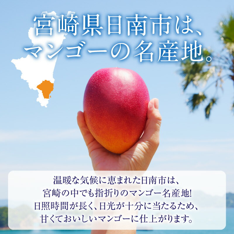 【ふるさと納税】≪玉数が選べる≫特大5Lサイズ 宮崎県産 完熟マンゴー 化粧箱入り 令和8年発送分 期間限定 数量限定 2026年 フルーツ 果物 くだもの 国産 食品 デザート おすすめ ご褒美 産地直送 特大 希少 お祝 お土産 プレゼント ギフト 贈り物 宮崎県 日南市 送料無料 サムネイル3