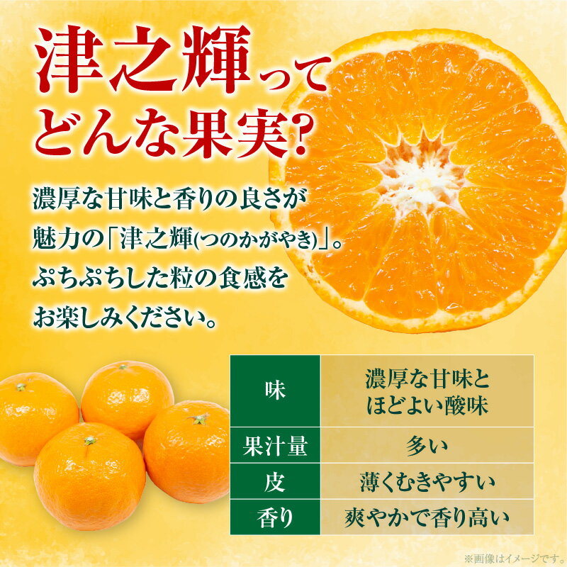 【ふるさと納税】≪内容量が選べる≫ 先行予約 訳あり 津之輝 つのかがやき 希少 期間限定 数量限定 フルーツ 果物 くだもの 柑橘 みかん 令和8年発送 国産 食品 おすすめ デザート おやつ みかんジュース フルーツサンド ご家庭用 おすそ分け 宮崎県 日南市 送料無料 サムネイル2