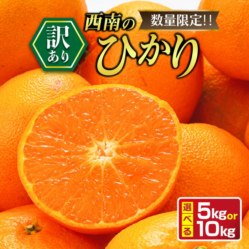 ≪内容量が選べる≫ 年内お届け 先行予約 訳あり 西南のひかり 希少 期間限定 数量限定 みかん オレンジ フルーツ 果物 くだもの 柑橘 国産 食品 デザート おやつ みかんジュース おすそ分け 家庭用 自宅用 おすすめ 5kg 10kg 宮崎県 日南市 送料無料