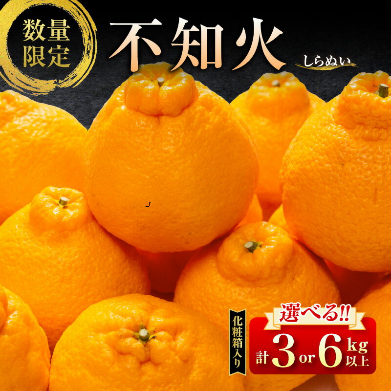 ≪内容量が選べる≫ 先行予約 不知火 黒箱 化粧箱入り 期間限定 数量限定 果物 フルーツ くだもの 柑橘 みかん 令和8年発送 みかんジュース デザート おやつ 人気 おすすめ 国産 食品 ギフト 贈り物 贈答 ご褒美 お祝い 記念日 宮崎県 日南市 送料無料