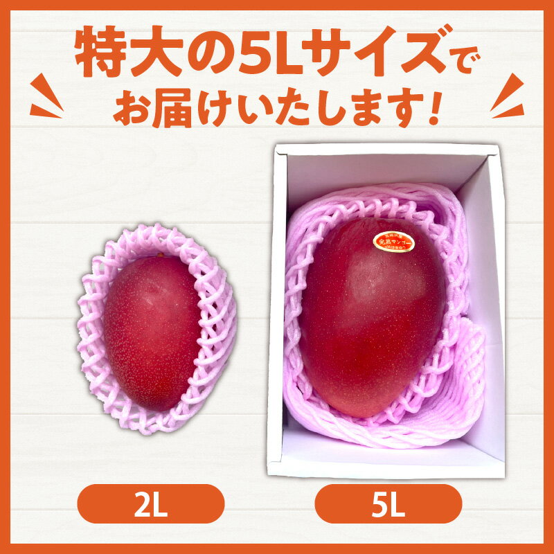 【ふるさと納税】≪玉数が選べる≫特大5Lサイズ 宮崎県産 完熟マンゴー 化粧箱入り 令和8年発送分 期間限定 数量限定 2026年 フルーツ 果物 くだもの 国産 食品 デザート おすすめ ご褒美 産地直送 特大 希少 お祝 お土産 プレゼント ギフト 贈り物 宮崎県 日南市 送料無料 サムネイル2
